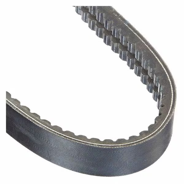 2/BX48 Banded Cogged V-Belt, 51" Outside Length, 1-21/64" Top Width, 2 Ribs