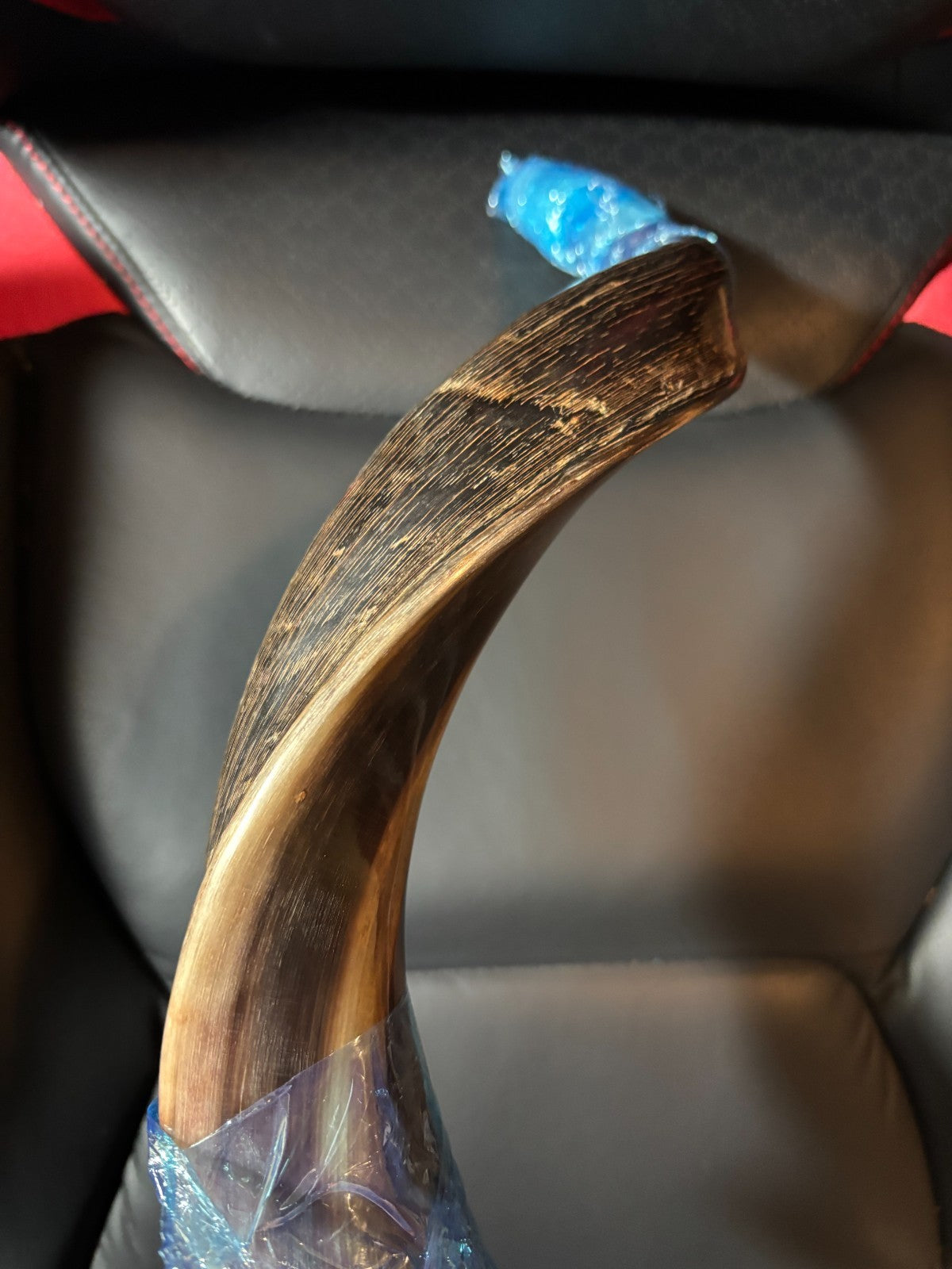 Pro Shofar Horn - 18" with Velvet Bag, Brush & Anti Odor Spray - from Isreal