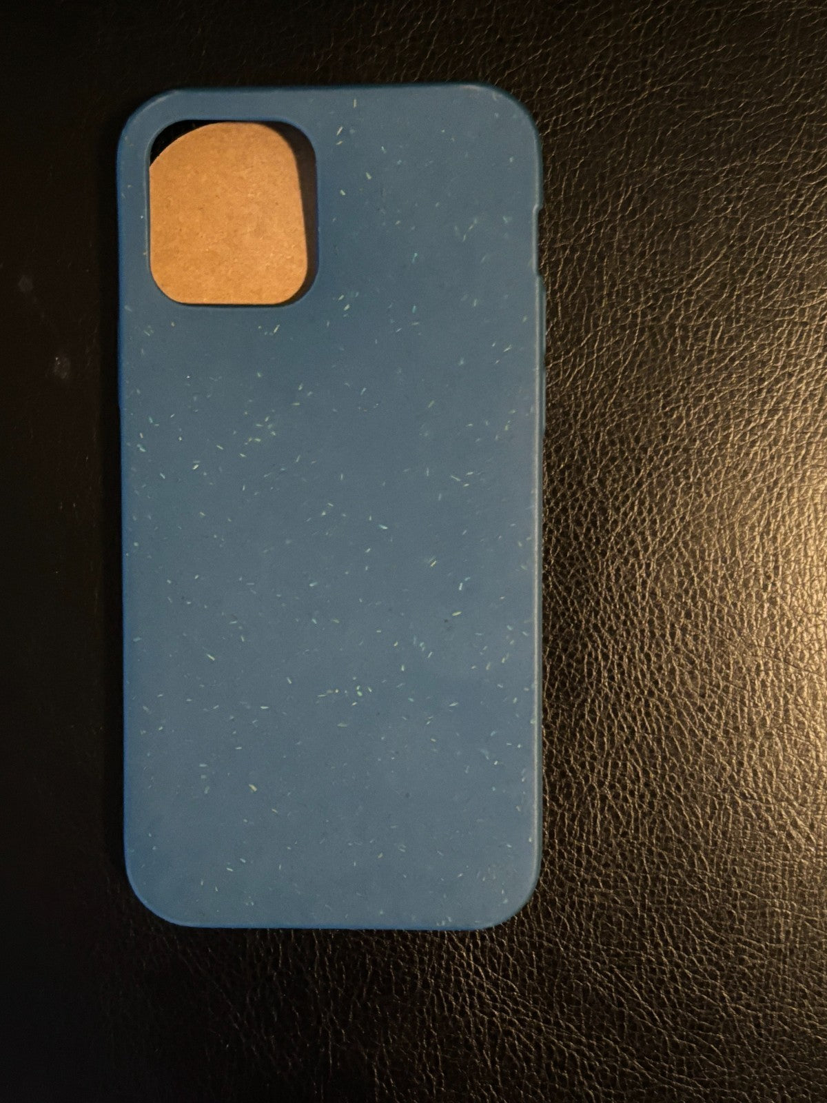 Pela iPhone 12, 12 Pro Case - Stormy Blue- NEW
