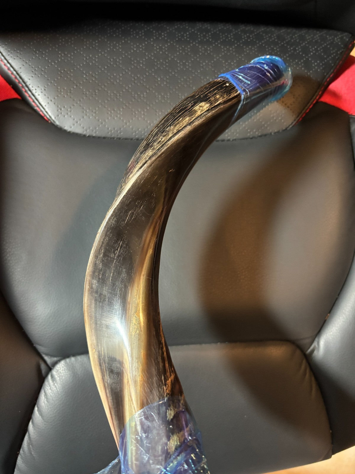 Pro Shofar Horn - 18" with Velvet Bag, Brush & Anti Odor Spray - from Isreal