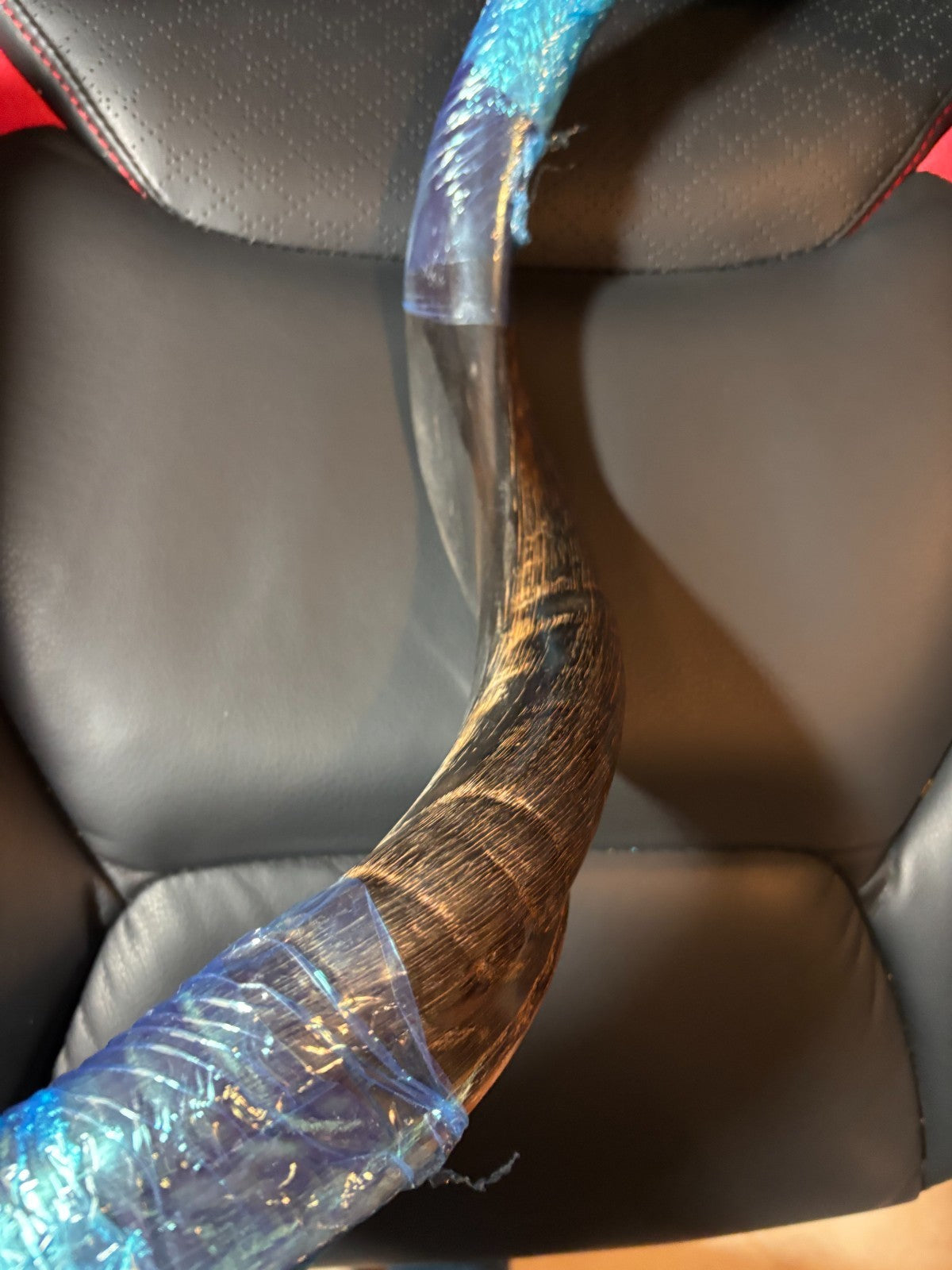 Pro Shofar Horn - 18" with Velvet Bag, Brush & Anti Odor Spray - from Isreal