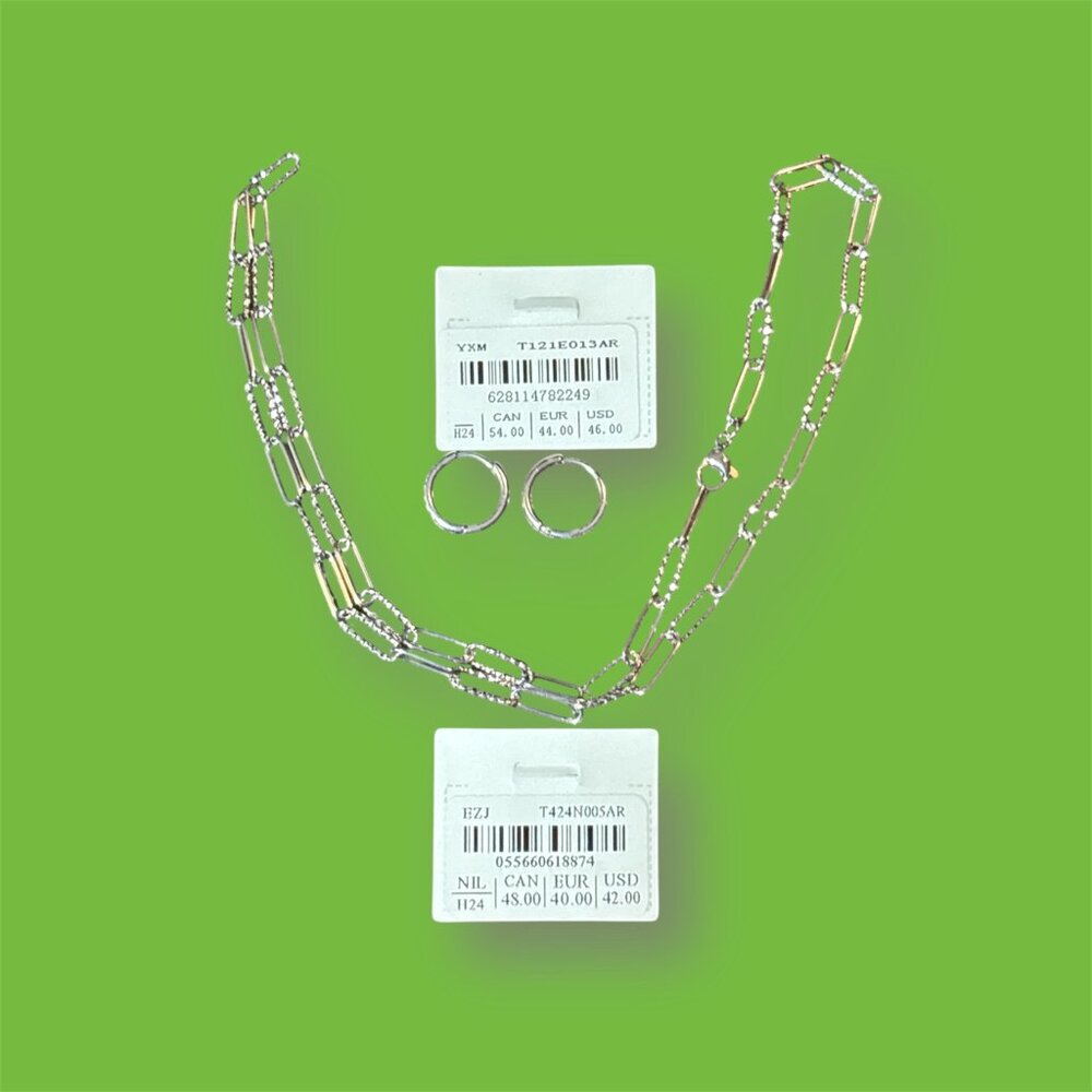 Mia Earrings and Necklace - NWT